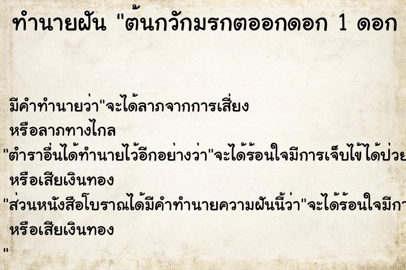 ทำนายฝัน ต้นกวักมรกตออกดอก 1 ดอก 